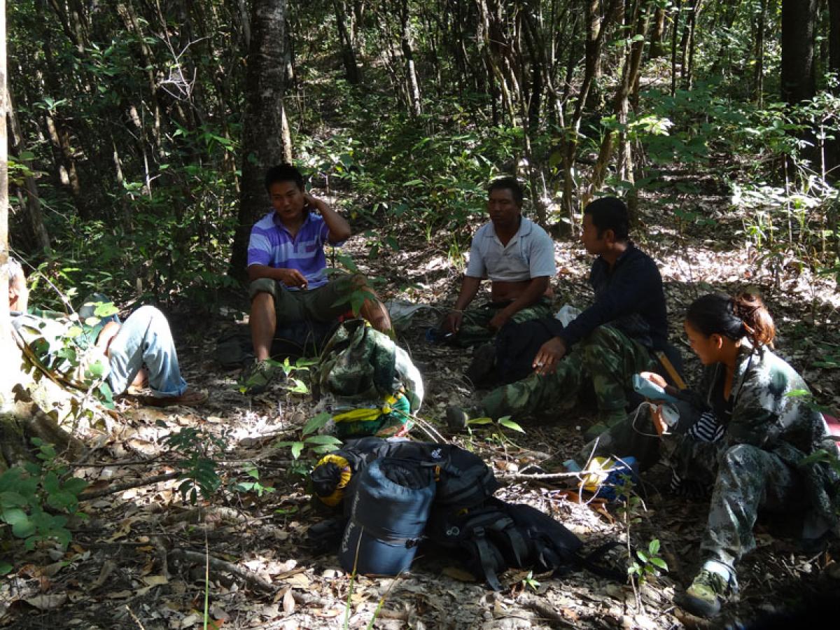 Wild Felid Fieldwork in Nangunhe Nature Reserve