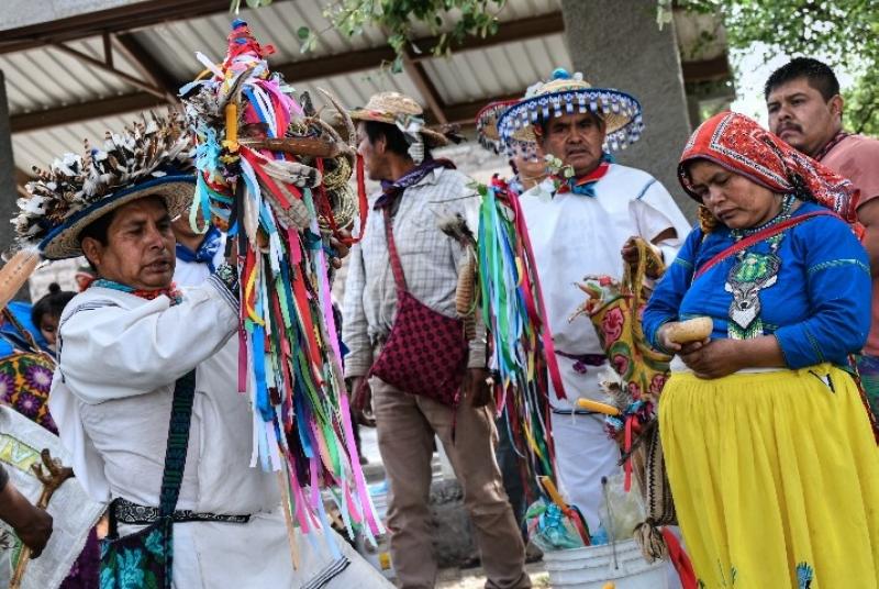 Wirkuta Pilgrimage with the Wixárika