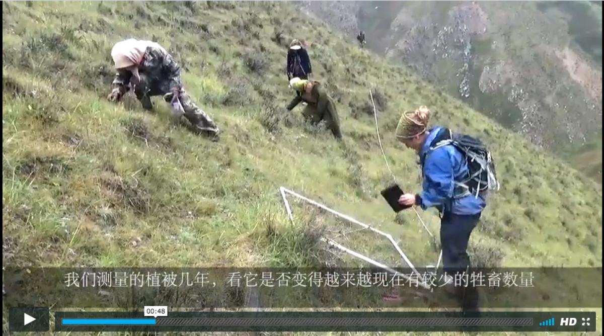 QiLianShan, Gansu, China Snow Leopard and Snow Leopard Prey Surveys