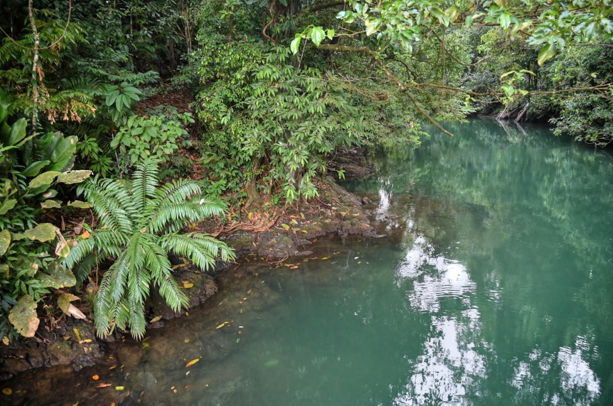 Osa Peninsula, Costa Rica