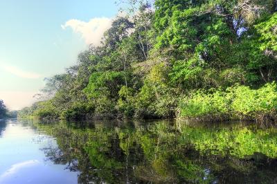 Amazon, Pacaya Samiria, Peru