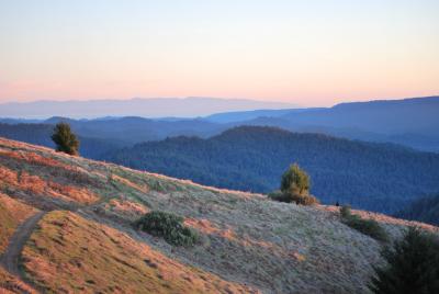 Romantic Getaway, Santa Cruz Mountains, CA